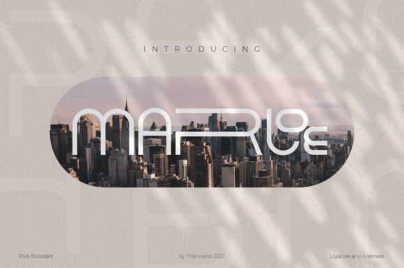 Marloe Review: A Bold Display Typeface for Modern Brands